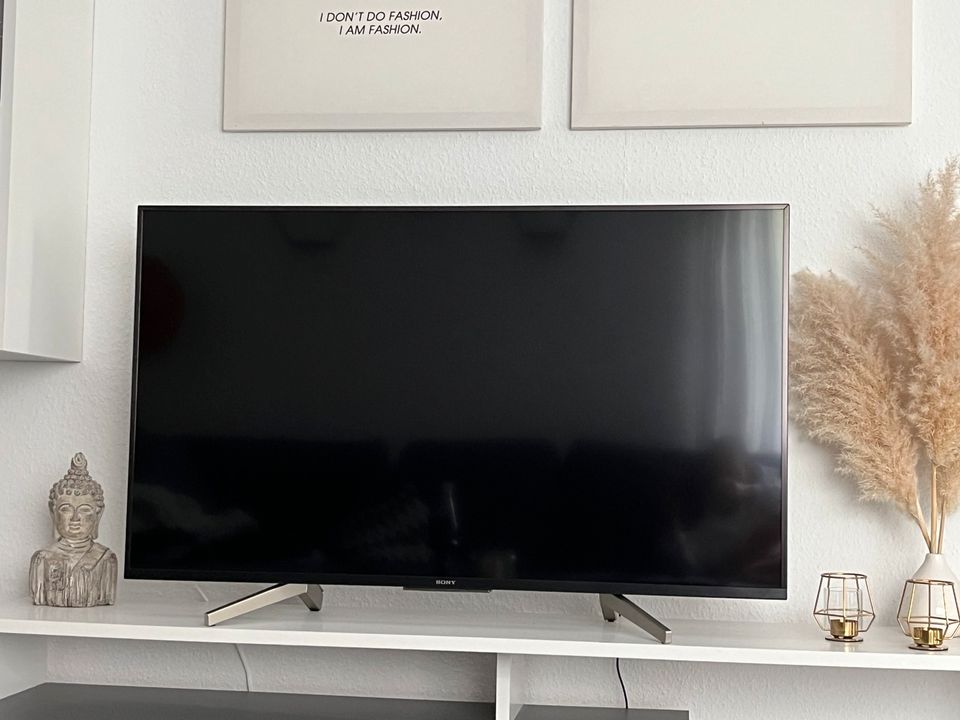 SONY Fernseher 50 Zoll schwarz in Buchen (Odenwald)