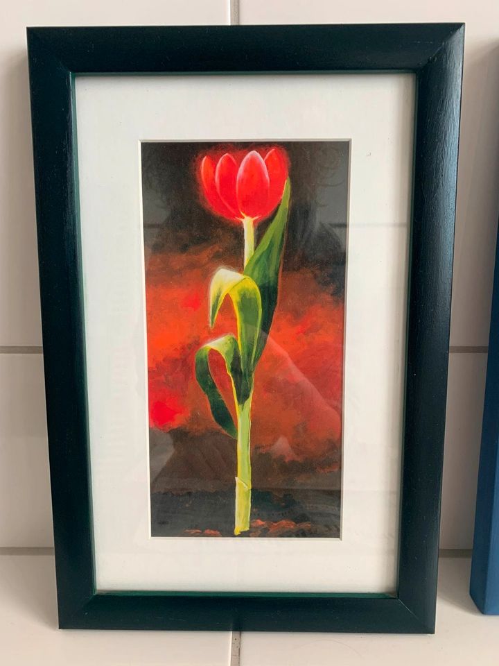 3 Bilder Kunstdrucke Karsten Kirchner Tulpe Tulpenbild in Lüdinghausen