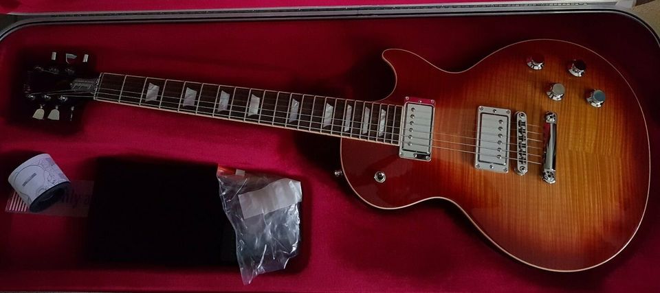 Gibson Les Paul Standard HP 2017 mit Alucase - wie neu in Erolzheim