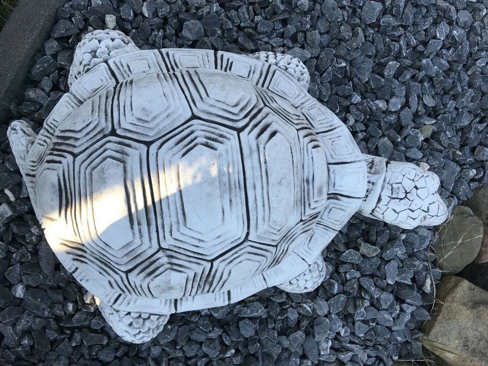 ‼️XL Riesen Schildkröte 70kg Schildkröten Steinguss Reptil Teich in Oberhausen