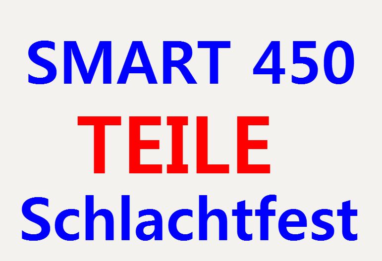 Smart 450 TEILE Schlachtfest in Kirchheim unter Teck