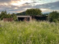 Resthof / Schuppen / Scheune / Offenstall/ Pferdestall Hessen - Zierenberg Vorschau