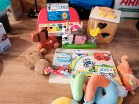 Spielzeug Baby Paket Niedersachsen - Südbrookmerland Vorschau