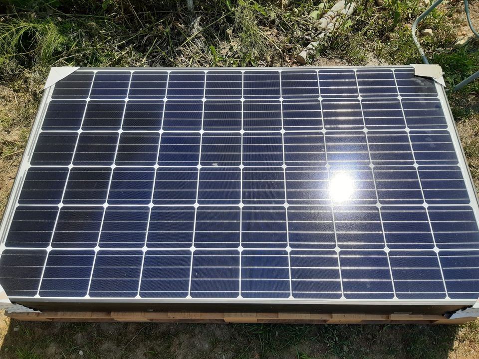 Solarmodule QCells Q.Peak-G4.4 310Wp NEU!! in Ribbesbüttel