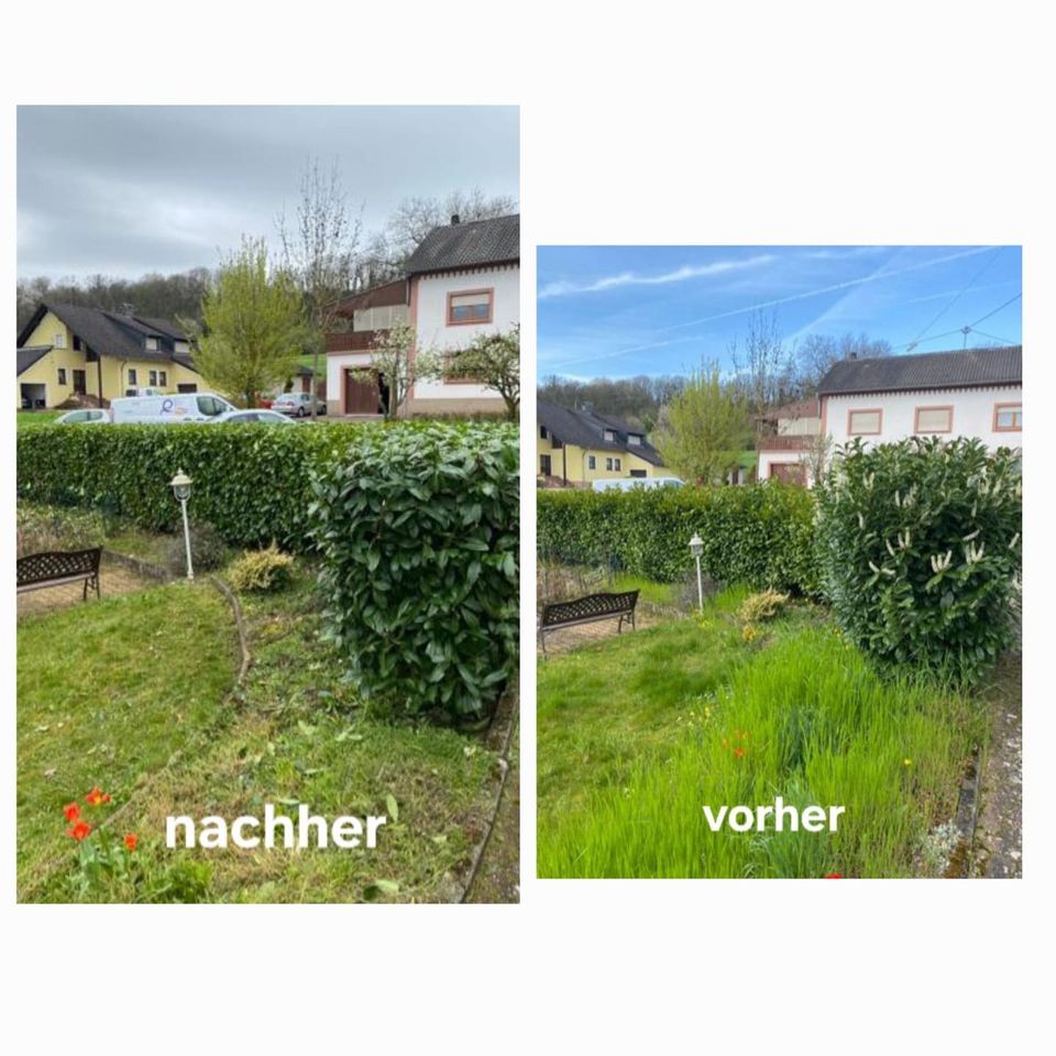 Gartenarbeiten / Heckenschneiden / Rasenmähen / Baumfällung in Saarlouis