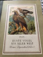 Bunte Vögel aus aller Welt Hamburg-Nord - Hamburg Winterhude Vorschau