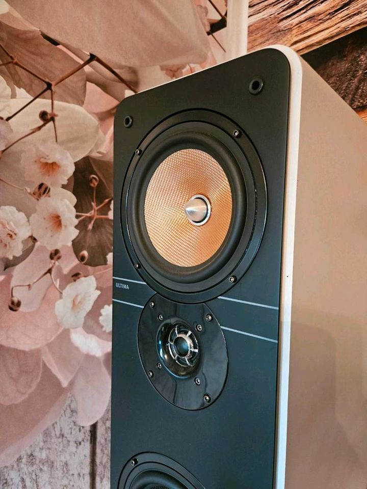 TEUFEL Ultima 40 Surround 5.1 Activ AVR Standboxen mit Garantie in Berlin