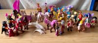 Playmobil Mix Märchen Feen magic Prinzessinnen 40 teile Pankow - Prenzlauer Berg Vorschau