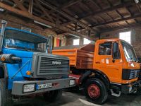 Magirus Iveco LKW Oldtimer Türgriff neu 330 30 170 23 NOS Rheinland-Pfalz - Selters Vorschau