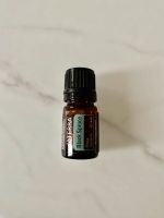 Black Spruce Schwarzfichte  DoTERRA NEU Nordrhein-Westfalen - Lengerich Vorschau