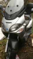 Piaggio X9 SL 500ccm Wandsbek - Hamburg Marienthal Vorschau