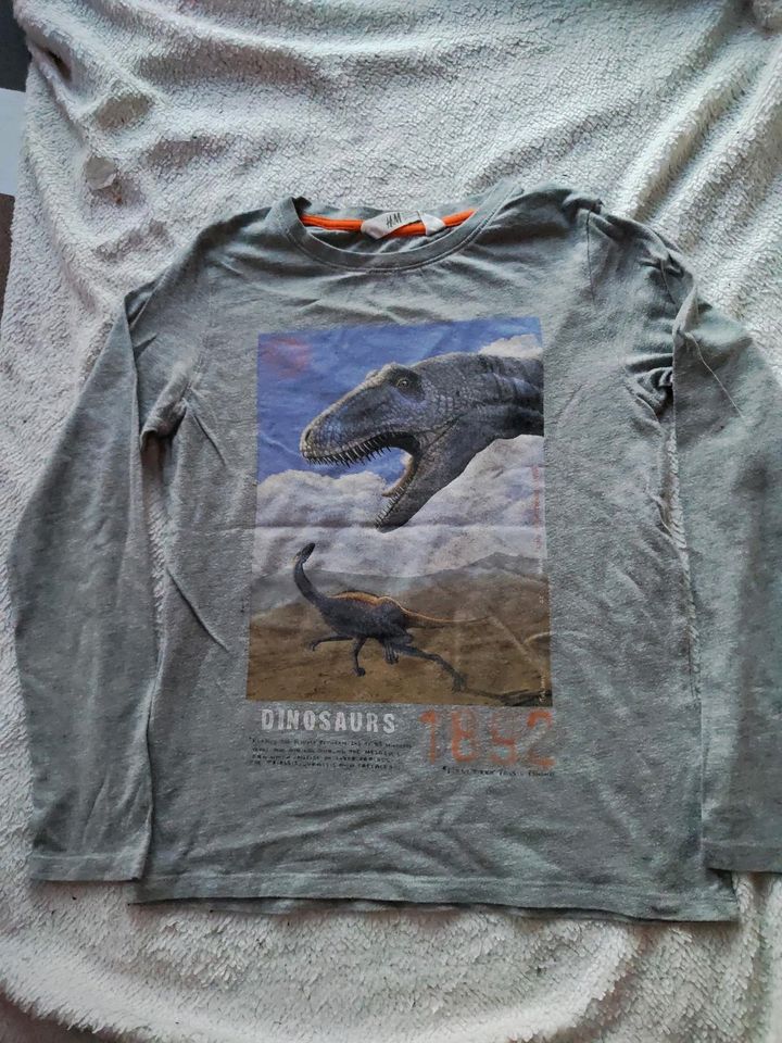 Dino Shirt 134 140 H&M in Altleiningen