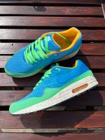 Nike Air Max 1 EM Beaches of Rio 44,5 10,5 Eimsbüttel - Hamburg Stellingen Vorschau