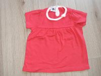 Petit Bateau Shirt T-Shirt Grösse 86 wie neu Nordrhein-Westfalen - Moers Vorschau