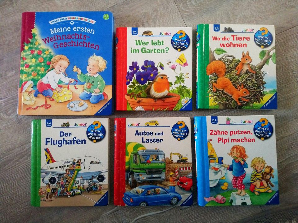 Bücherpaket Alter 2-4 in Rostock