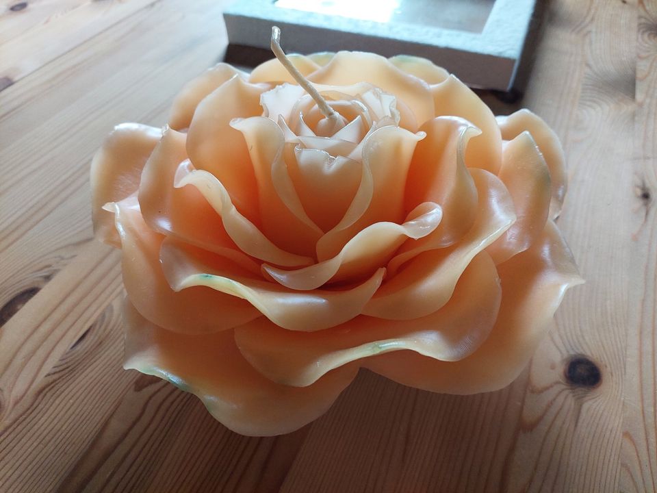 Deko Kerze in Form einer Rose groß in Bad Nauheim