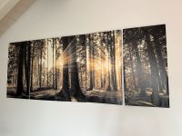 Wandbild „schöner Sonnenaufgang im Wald“ Bayern - Salching Vorschau
