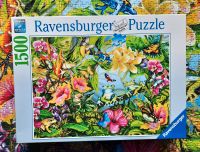 Ravensburger Puzzle 1500 Teile "Wo ist der Frosch" Rheinland-Pfalz - Bellheim Vorschau