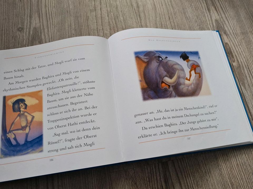 Disney Buch Geschichten Dumbo König der Löwen Bambie Susi Strolch in Wartenberg