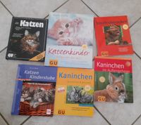 GU Katzenkinder, Katzen, Kaninchen,  Streifenhörnchen Bayern - Glött Vorschau