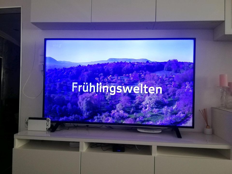 Grundig Fernseher 65 Zoll in St Katharinen