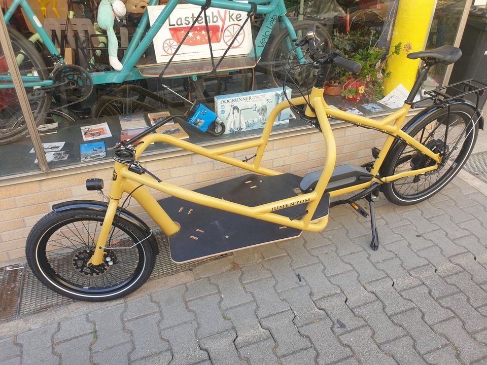 Verkaufe Iumentum 1890 Lastenrad mit Neodrives NEU HÄNDLER in Mannheim