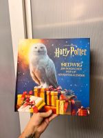 Harry Potter Adventskalender Baden-Württemberg - Ludwigsburg Vorschau