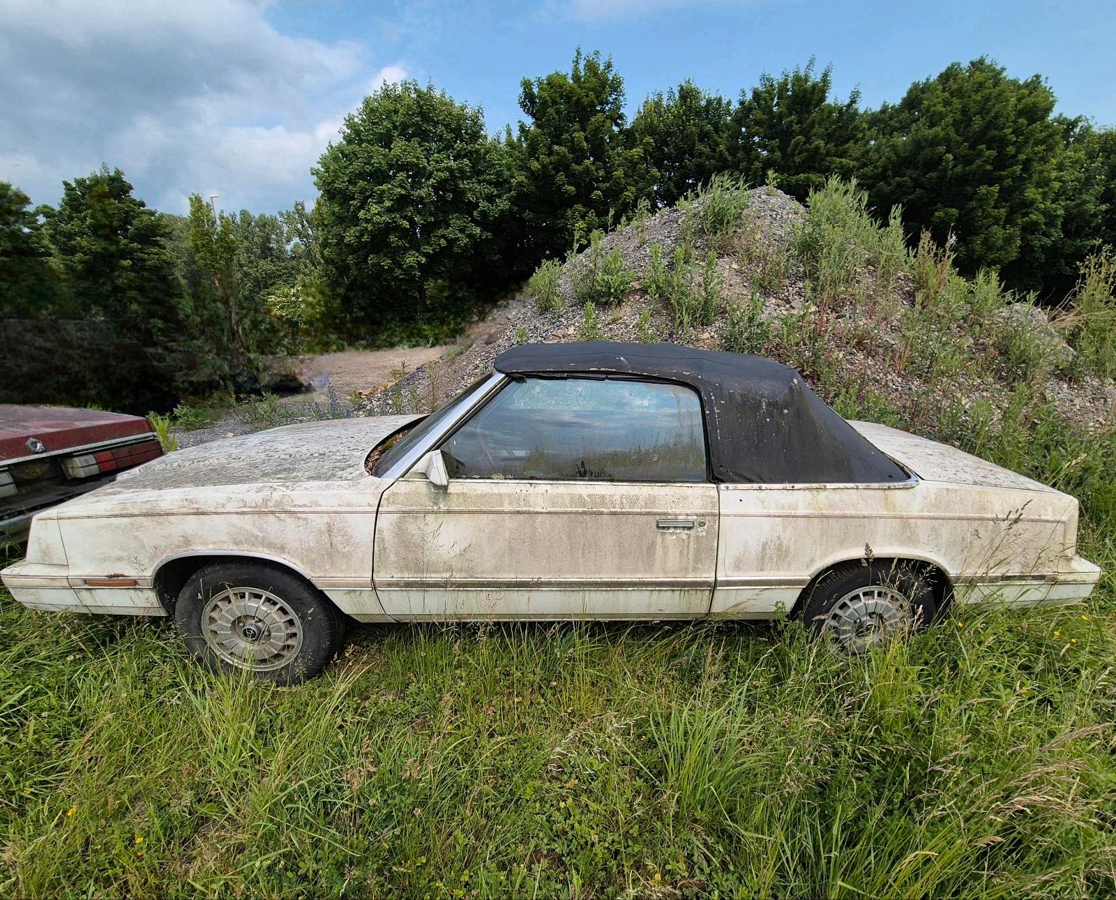 Abbildung des Autos Chrysler Le Baron Cabrio