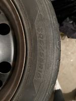 Hankook Sommerreifen 205/55 R16 Nordrhein-Westfalen - Ennigerloh Vorschau