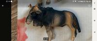 DDR Zoo Tiere Sachsen - Niesky Vorschau