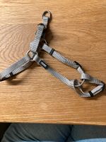 NEU AniOne Nylon Geschirr Hundegeschirr Welpe Gr XS Nordrhein-Westfalen - Rheine Vorschau