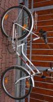 DDR Diamant Damenfahrrad Original Zustand 1988 Thüringen - Kahla Vorschau