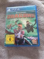 Dragons Ps4 Spiel Schleswig-Holstein - Gettorf Vorschau