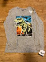 Dino Pullover Niedersachsen - Harsefeld Vorschau