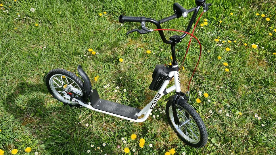 Tretroller / Kinderscooter mit Luftreifen und StVo tauglich in Ditzingen