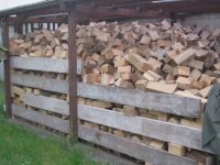 Brennholz Tanne gesägt nicht trocken zu verkaufen Brandenburg - Havelsee Vorschau