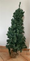 Tannenbaum Nordrhein-Westfalen - Kalkar Vorschau