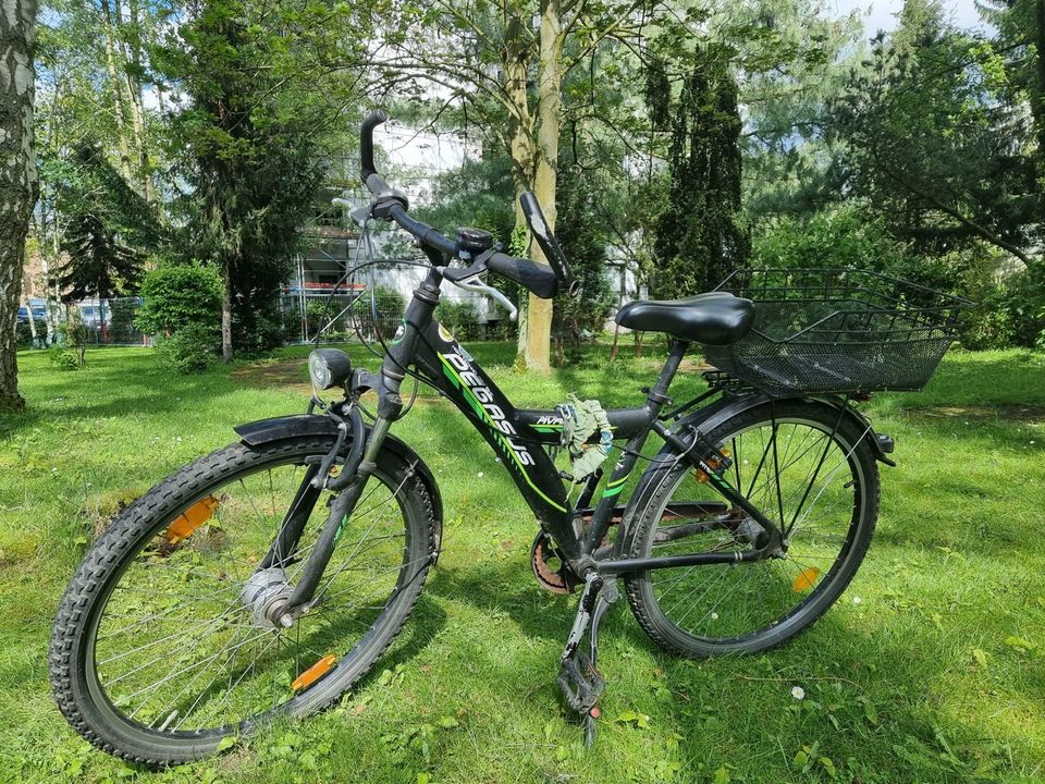 Pegasus Fahrrad in Kaarst