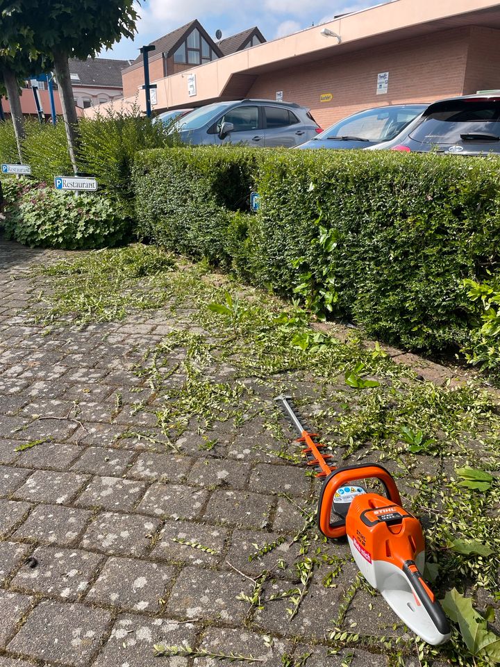 Gartenpflege Gärtner Grünpflege Rasen mähen mulchen Greenkeeping in Titz