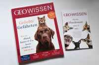 Geo Wissen, Geliebte Gefährten, Hund, Katze &Co. besser verstehen Baden-Württemberg - Weinheim Vorschau