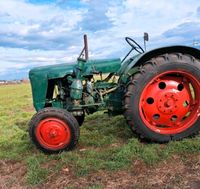 Traktor Famulus 36 Trecker Sachsen-Anhalt - Frankleben Vorschau