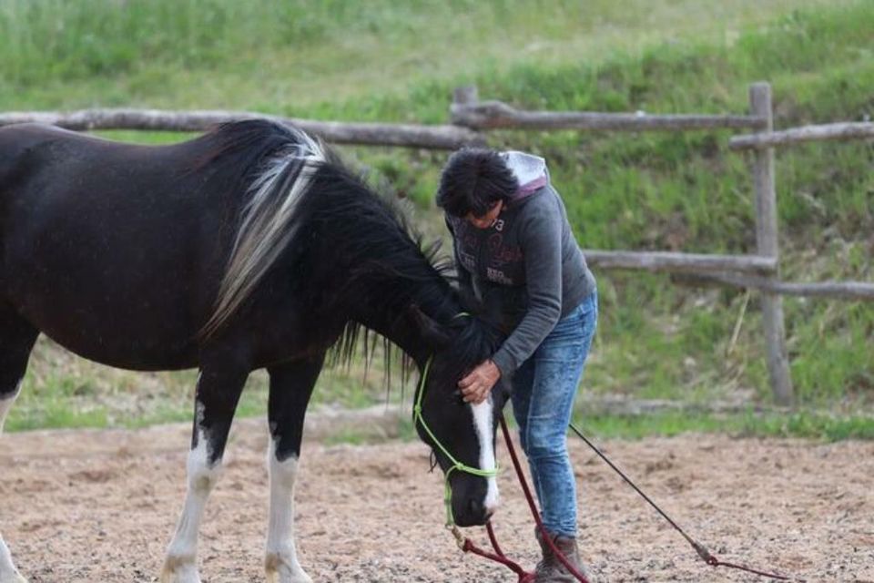 Reitunterricht Natural Horsemanship in Wetzlar