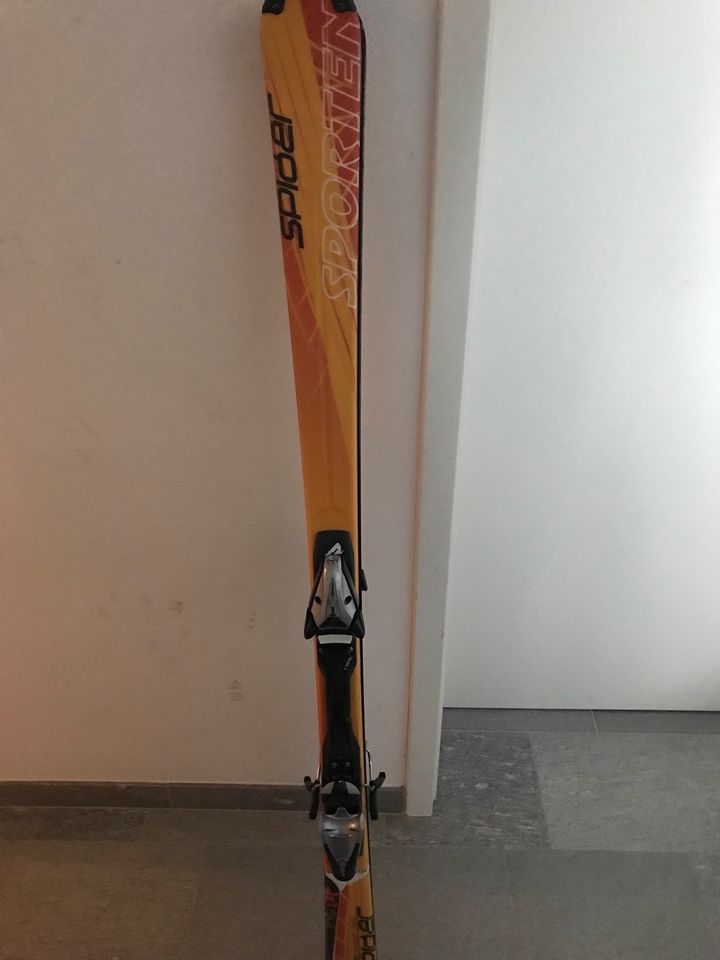 Carving Ski 160cm in München