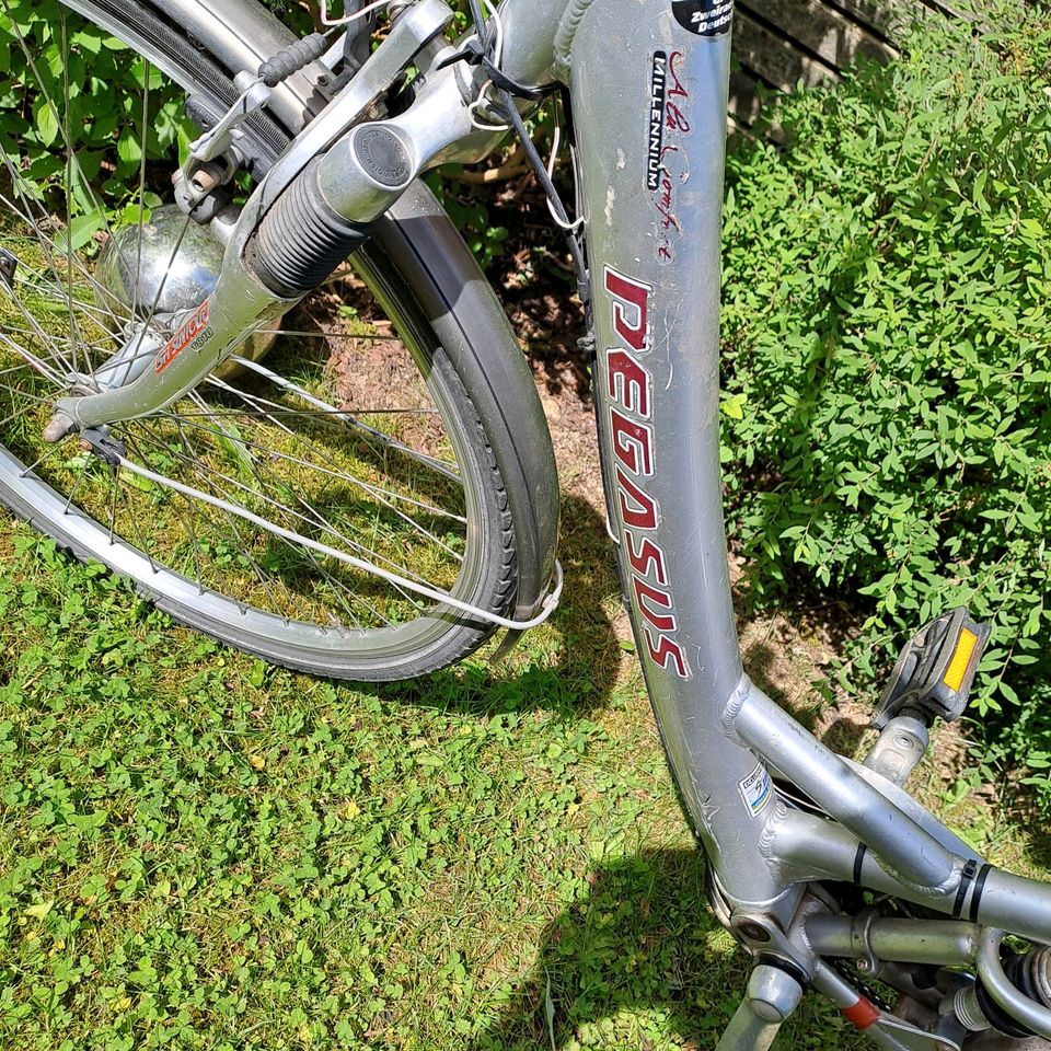 Pegasus Alu Comfort Rad in Deggendorf