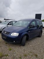 VW Caddy 1,9 TDI frisch TÜV Baden-Württemberg - Hagnau am Bodensee Vorschau