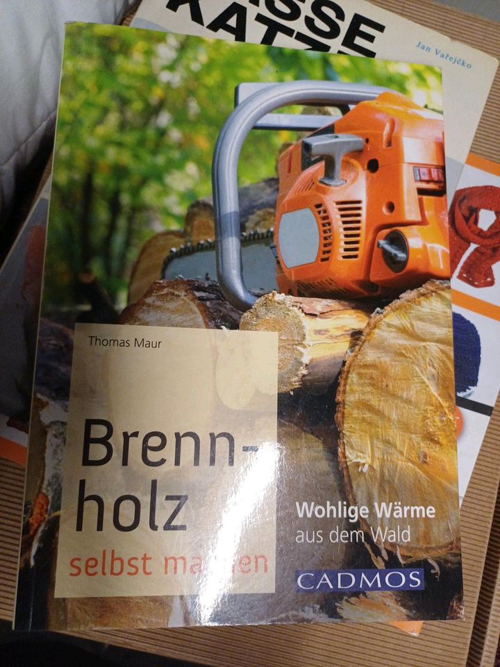 Brennholz selbst machen Thomas Maur in Wilhelmsburg