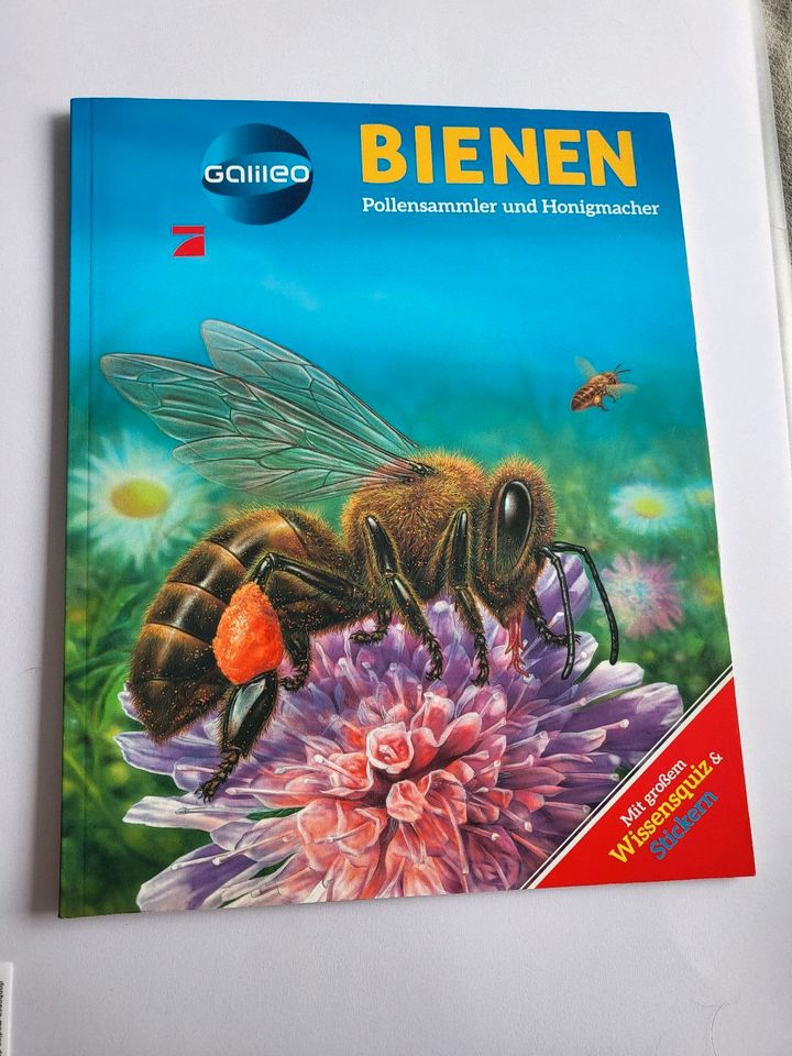 Bienen von Galileo in Essen