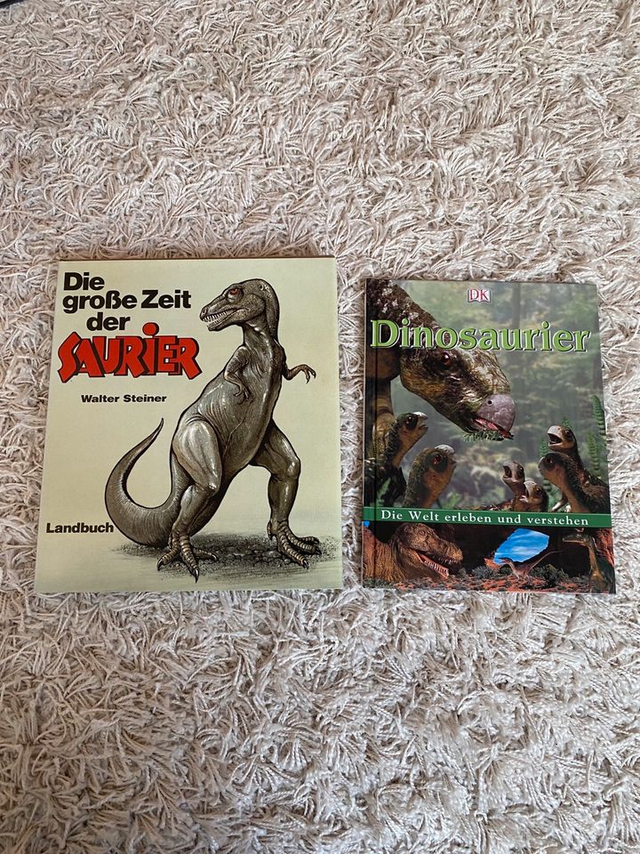 Dinosaurier, Kinderbuch, Sachbuch in Zerbst (Anhalt)