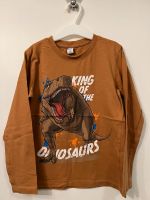 Shirt Langarmshirt T-Rex Dino Jungen 116 Rodenkirchen - Sürth Vorschau