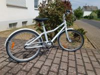 Stadler City Bike Damen Rheinland-Pfalz - Koblenz Vorschau